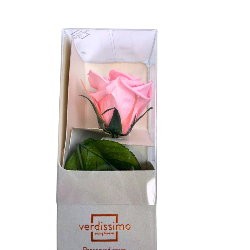 Rosa stabilizzata 25cm - Vari colori