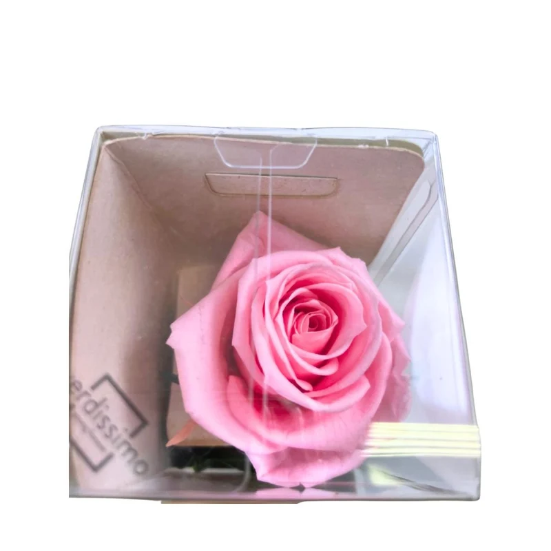 Rosa stabilizzata 25cm - Vari colori