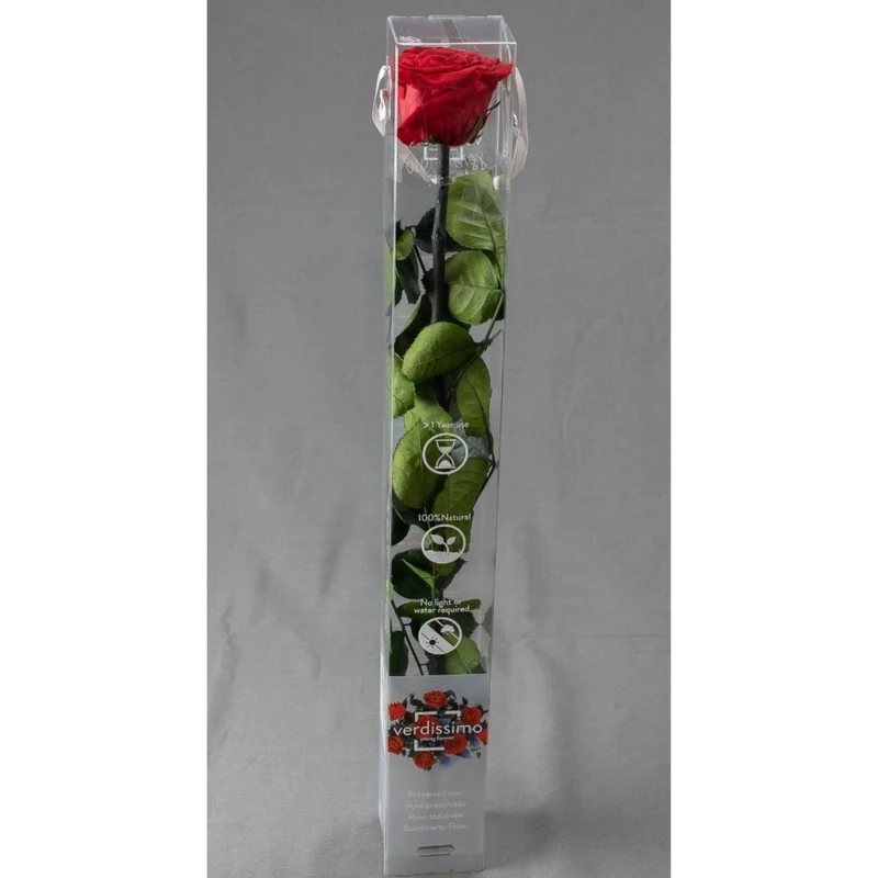 Rosa stabilizzata 55cm - Vari colori