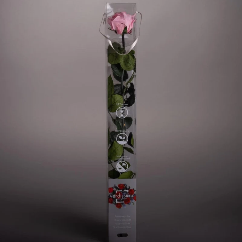 Rosa stabilizzata 55cm - Vari colori