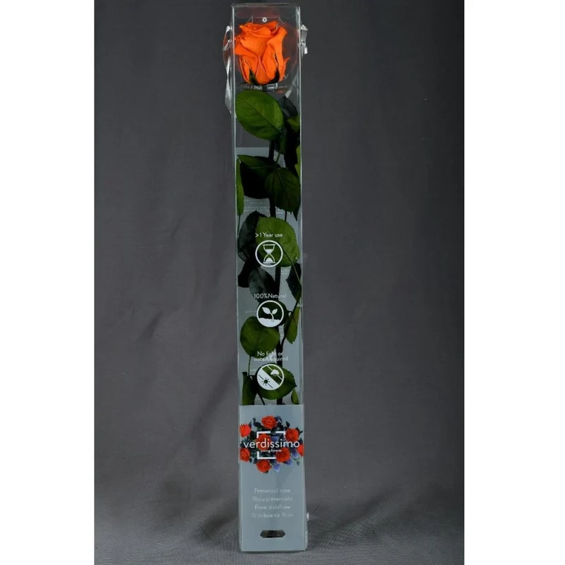 Rosa stabilizzata 55cm - Vari colori