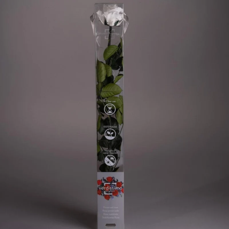 Rosa stabilizzata 55cm - Vari colori