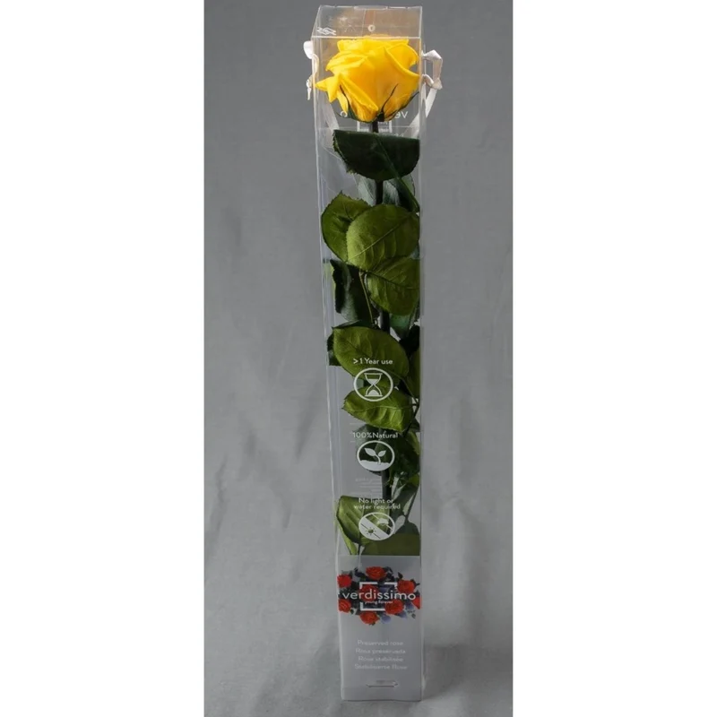 Rosa stabilizzata 55cm - Vari colori