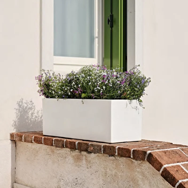 Schio cassa