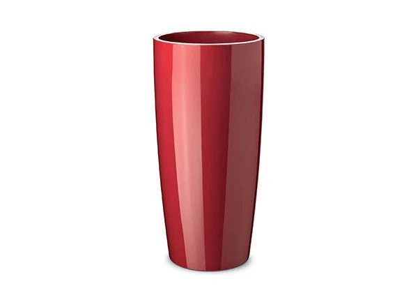 Vaso Musa