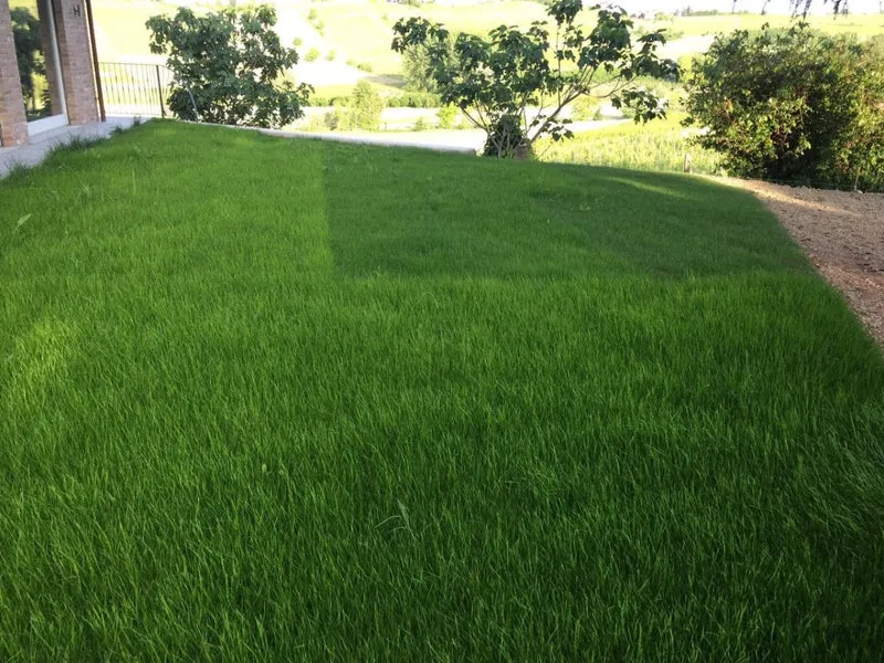 Viresco- Biostuoia prato soleggiato 50mq