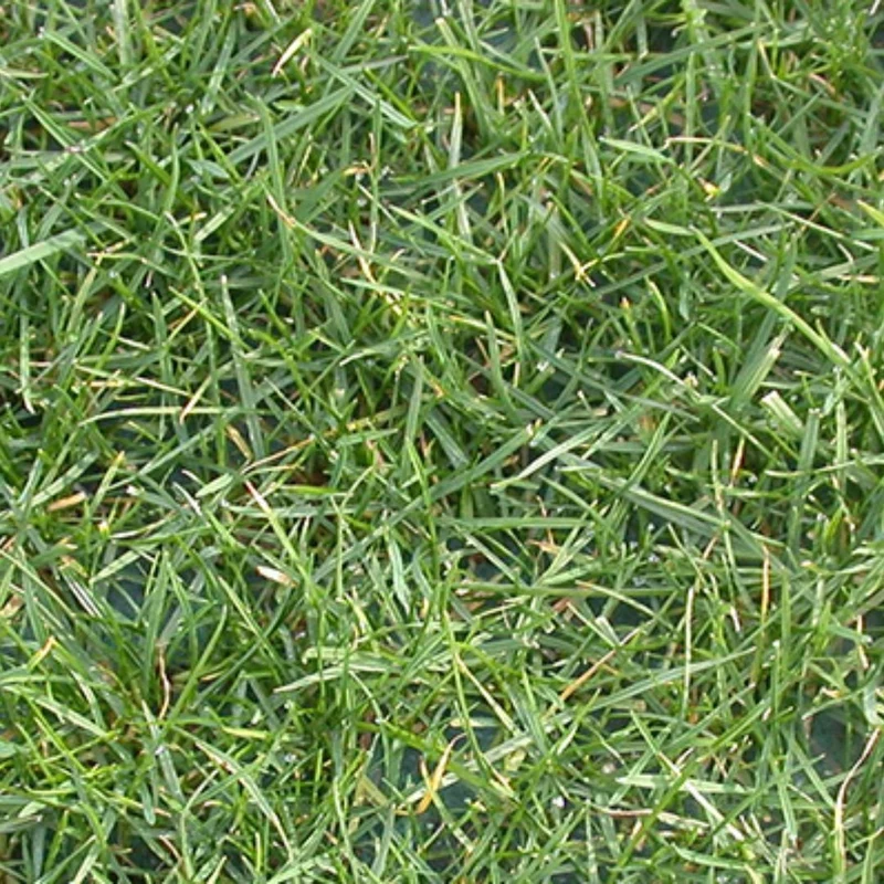 Viresco- Biostuoia prato soleggiato 50mq