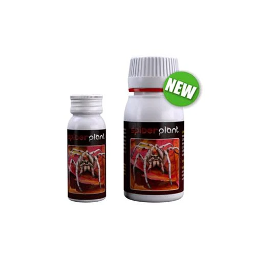 AGROBATTERI - PIANTA RAGNO (EX SPIDER KILLER) - 60 ML