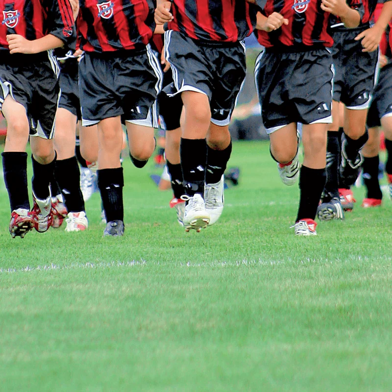 Prato Master
