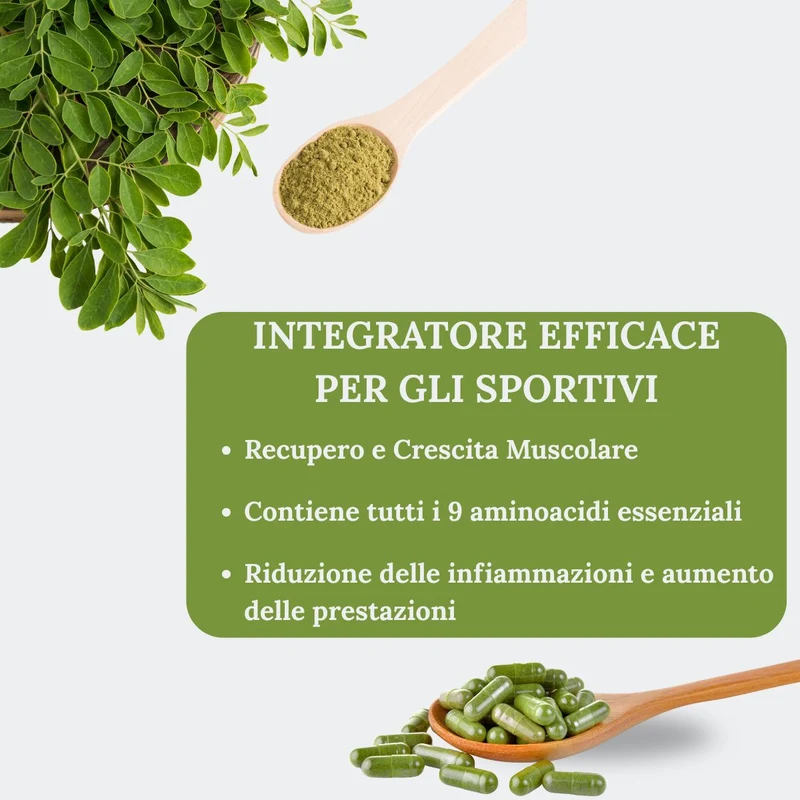 Moringa Oleifera Bio in Capsule | 50 Capsule