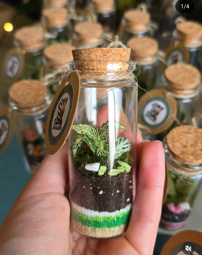 Terrarium cilindro chiuso ∅3,5cm H10cm