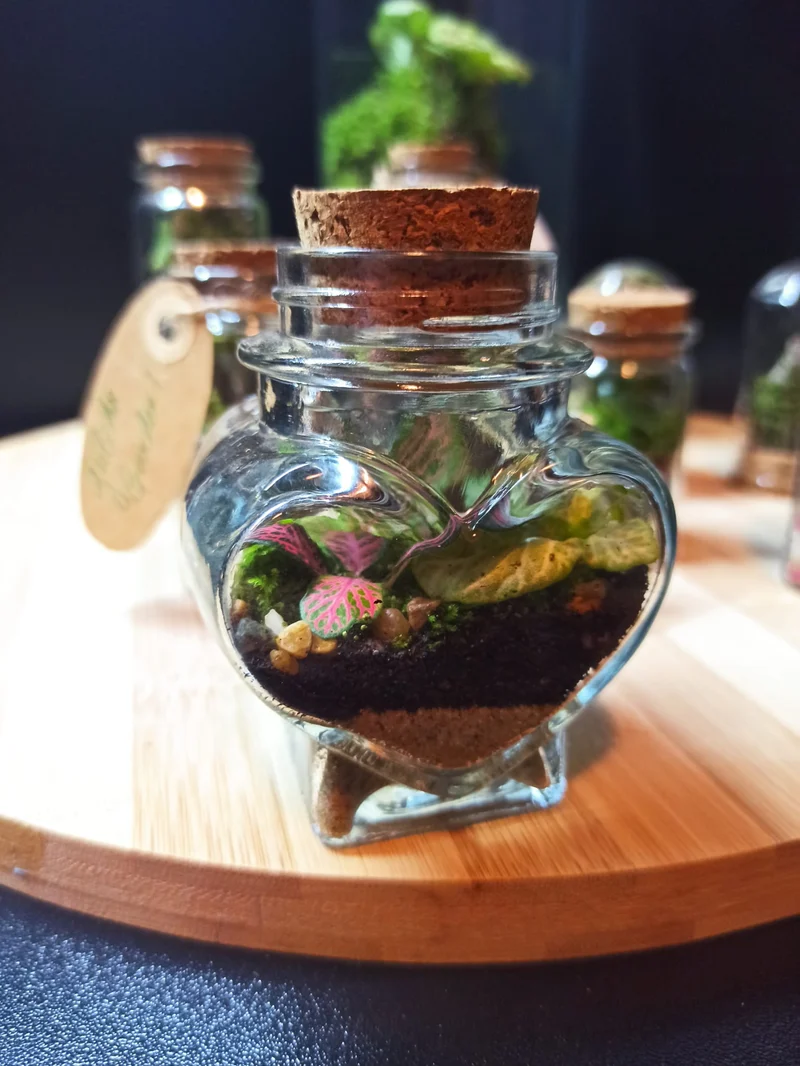 Terrarium CUORE chiuso H8cm