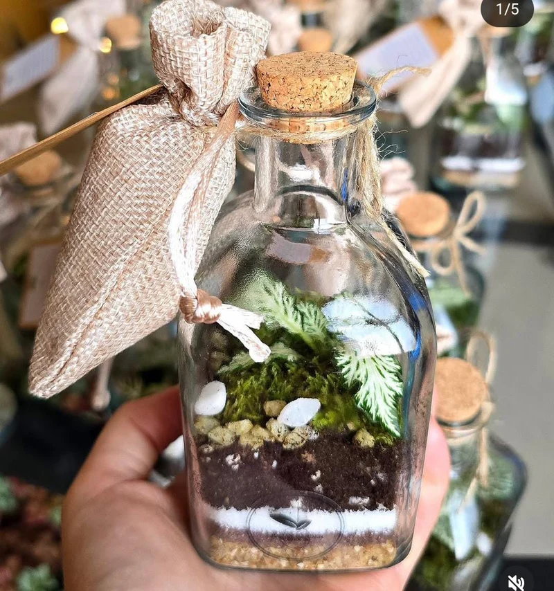 Terrarium chiuso base quadrata ∅6,5cm H13cm