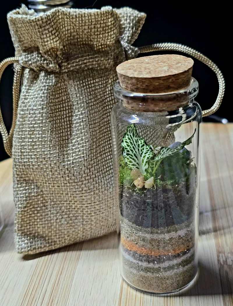Terrarium cilindro chiuso ∅3cm H8cm