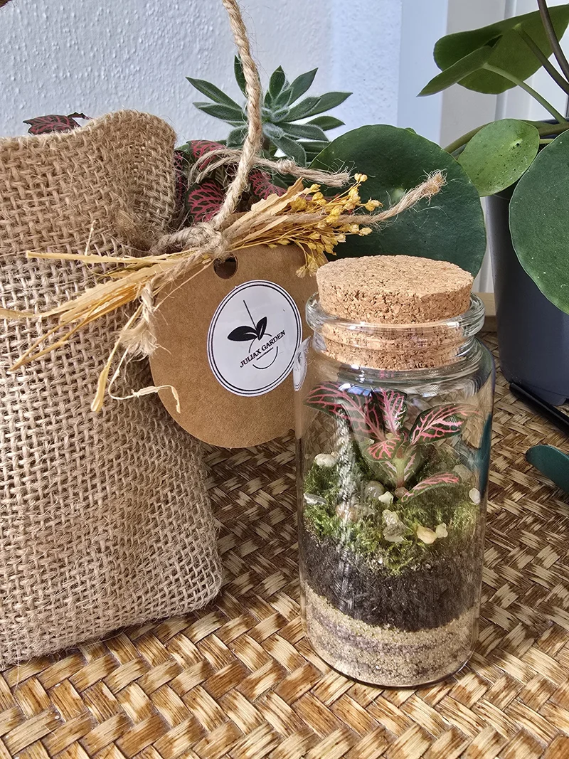 Terrarium cilindro chiuso ∅4cm H7cm