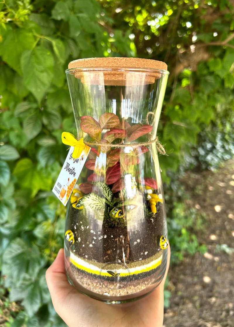 Terrarium chiuso simil clessidra H20cm