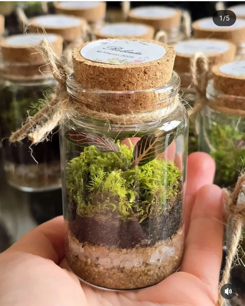 Terrarium cilindro chiuso ∅4cm H8cm