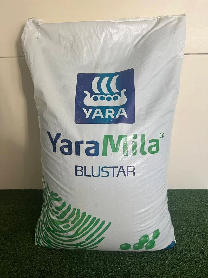 Yaramila Blustar 12 12 17