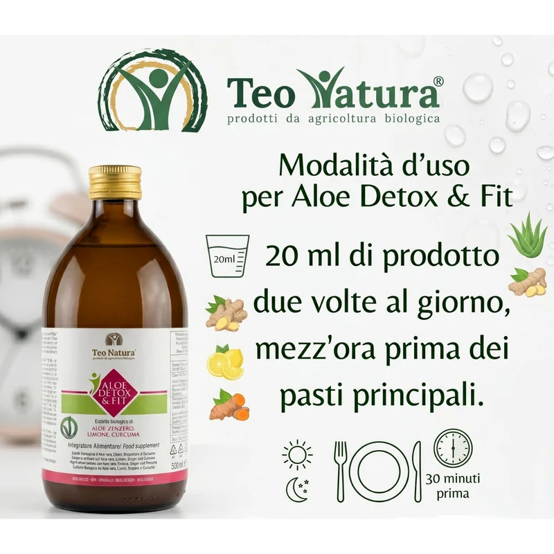 Detox & Fit – Succo Bio Aloe Vera, Zenzero, Limone e Curcuma | Depurativo e Digestivo