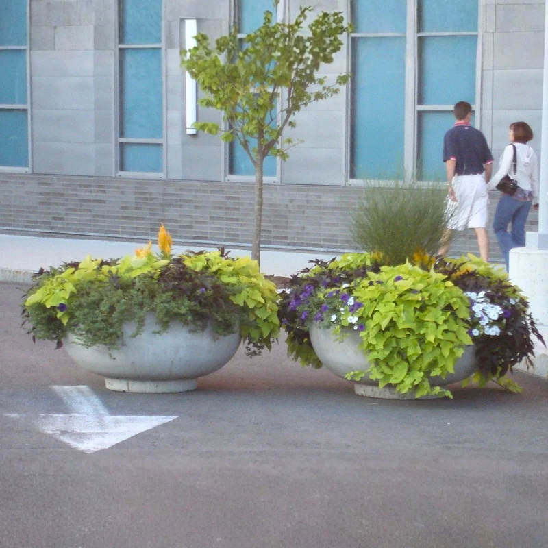 Round 4FT Concrete Bowl Planter - Architectural Collection