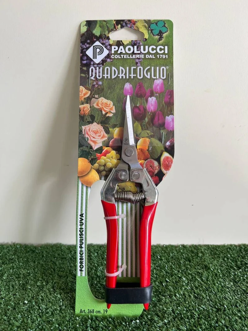 PAOLUCCI FORBICE PULISCI UVA