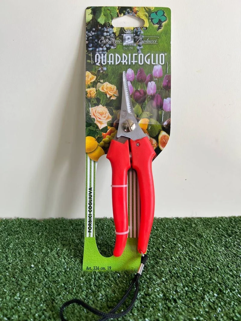 PAOLUCCI FORBICE COGLIUVA