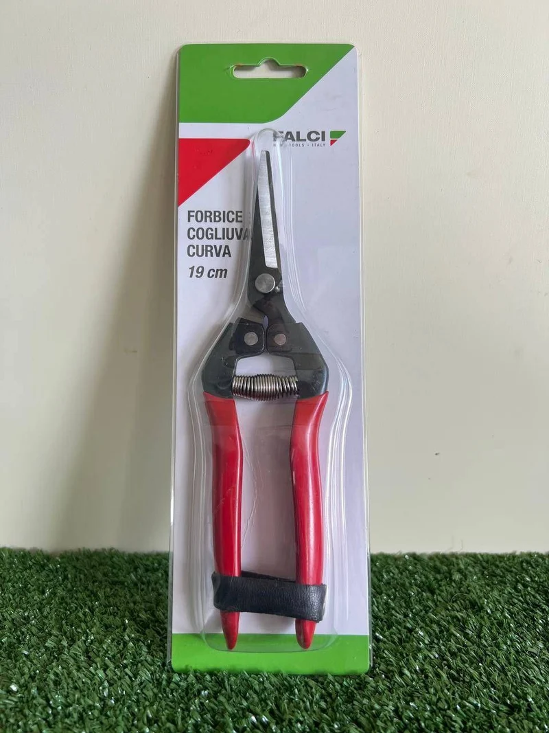 FORBICE COGLIUVA 19 cm FALCI