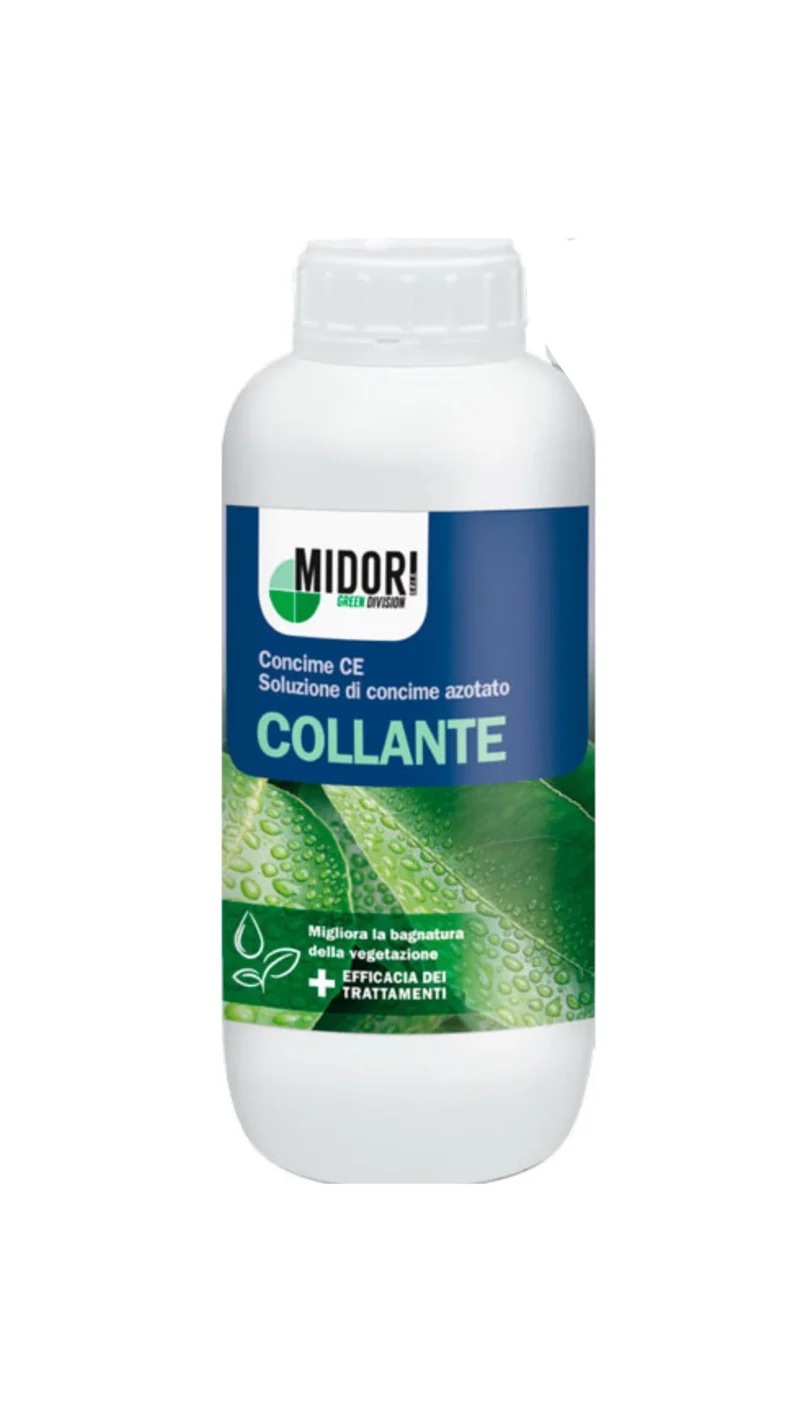 Collante