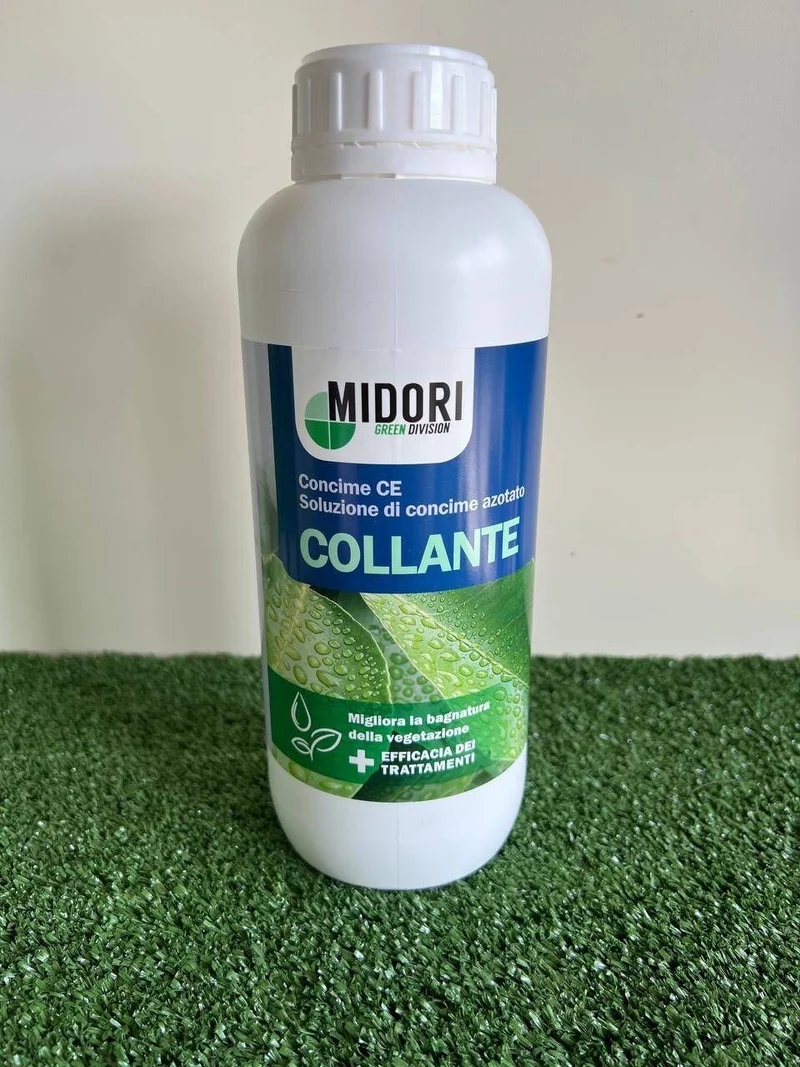 Collante