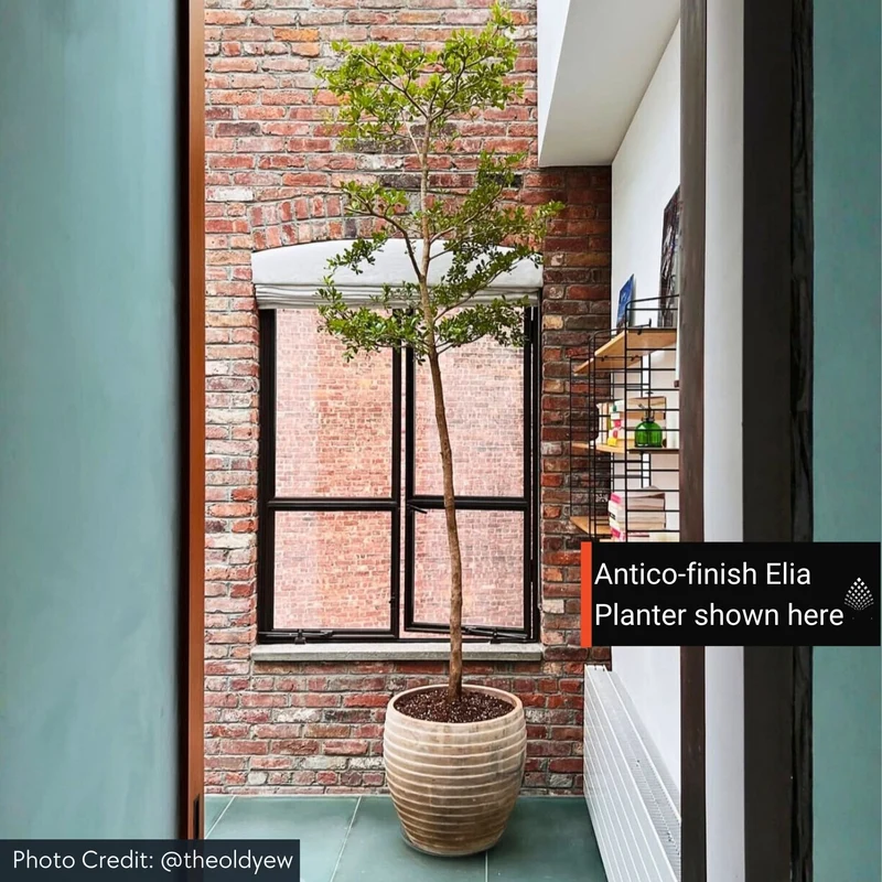 Elia Set of 5 Antico Terra Cotta Planters - Campania #6820