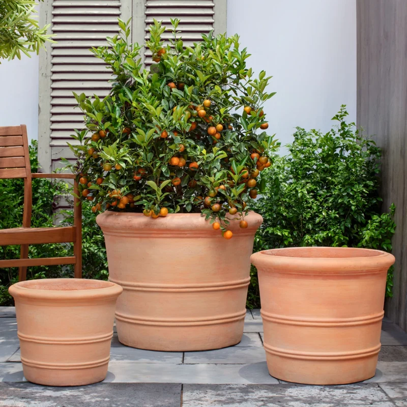 Classic Orangerie Set of 3 Terra Cotta Planters - Campania #8360