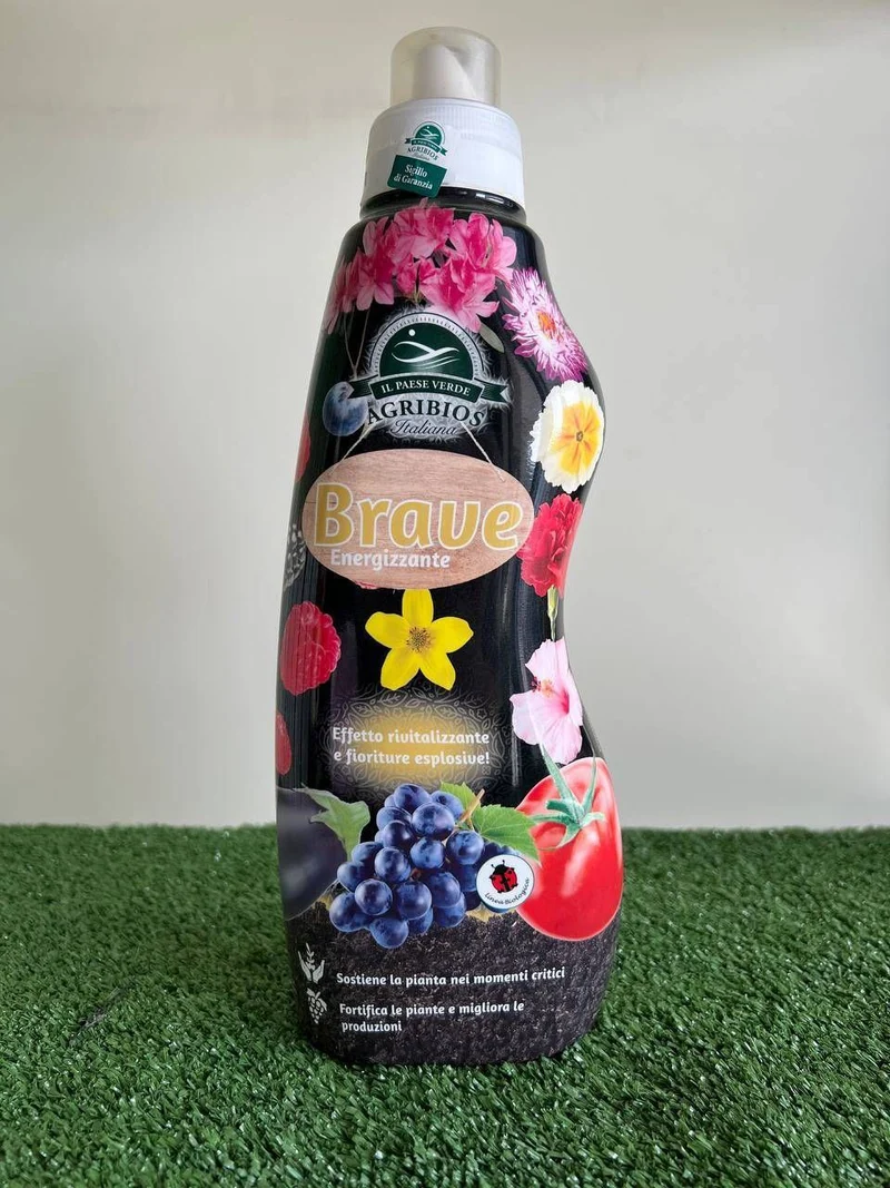 Il paese verde BRAVE ENERGIZZANTE