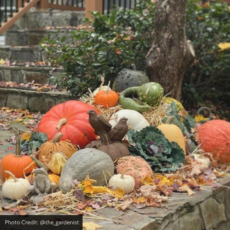 Birds on Pumpkin Concrete Garden Statue - Campania #A522