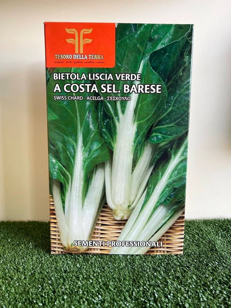 BIETOLA LISCIA VERDE A COSTE SEL. BARESE
