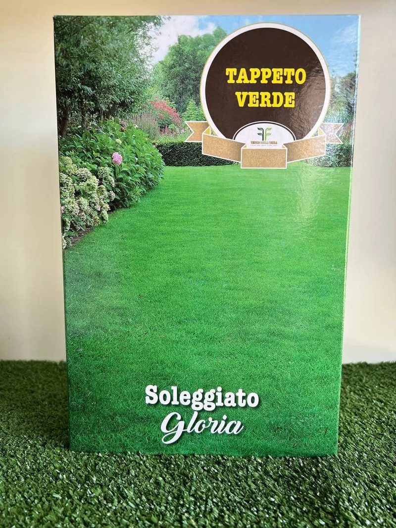 Sementi Prato Soleggiato Gloria