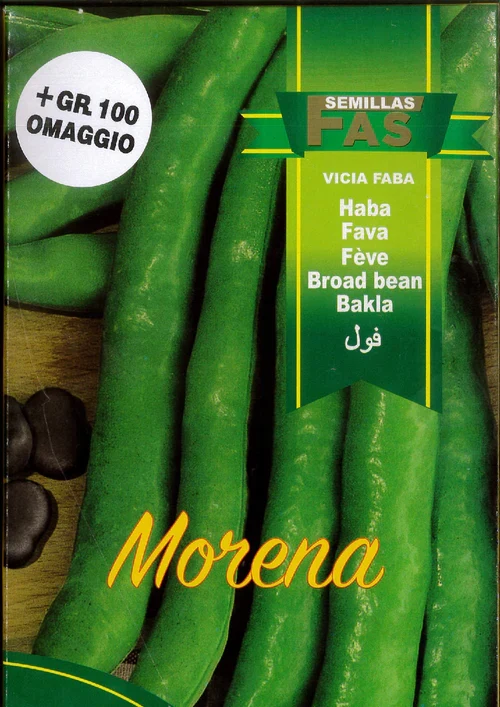 FAVA MORENA