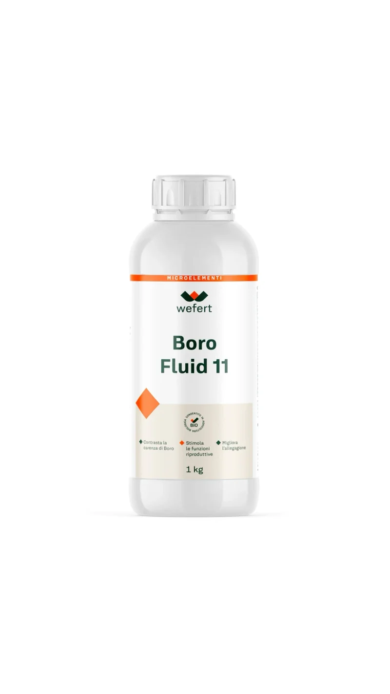 Boro