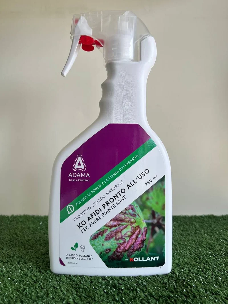Insetticida Naturale per Afidi | Adama Ko Afidi