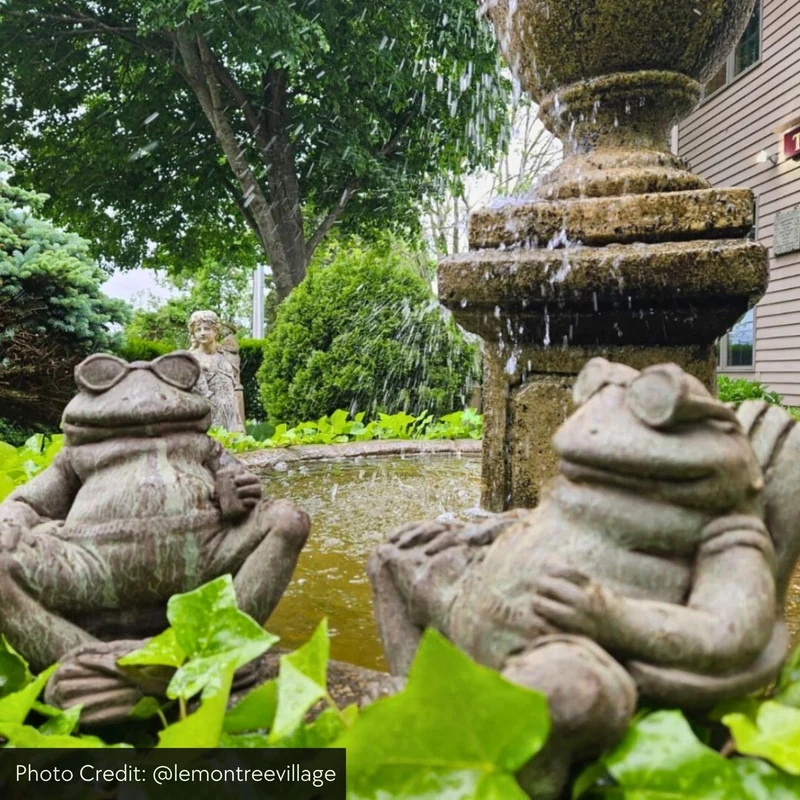 Bud on the Beach Concrete Frog Statue - Campania #A570