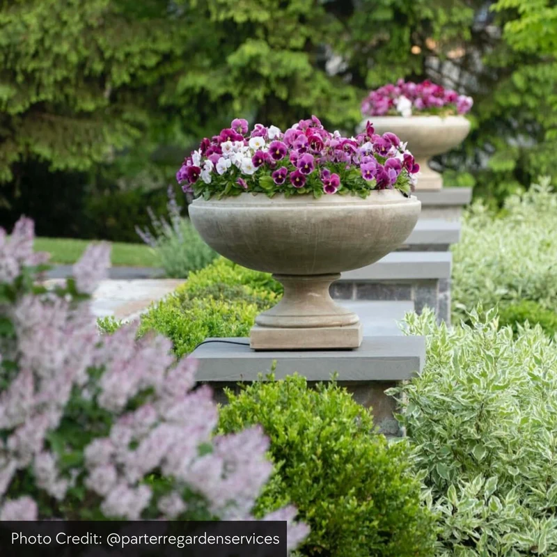 Jensen Large Concrete Urn Planter - Campania #P702