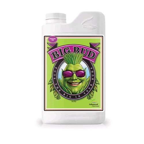 NUTRIENTI AVANZATI - BIG BUD - 1L