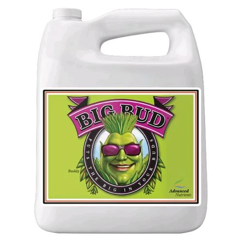 NUTRIENTI AVANZATI - BIG BUD - 5L