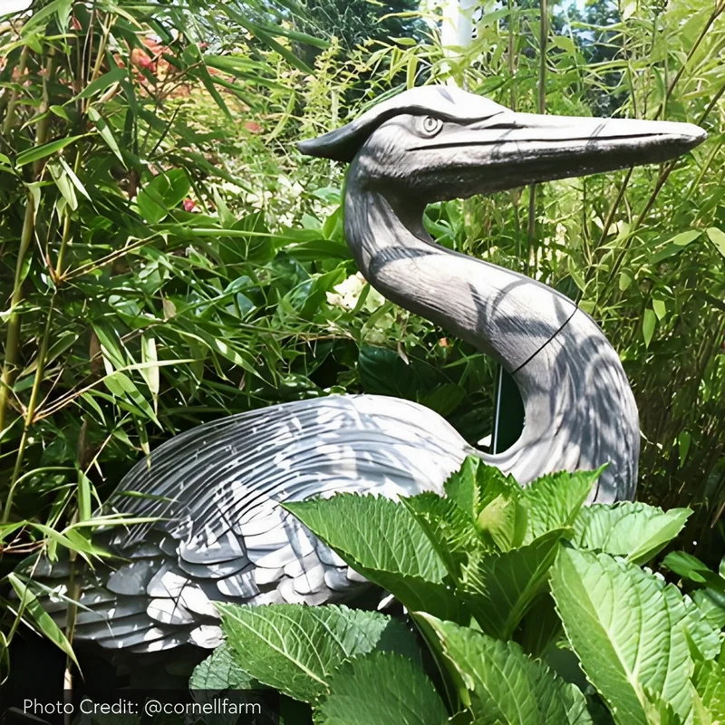 Heron (3 ft.) Concrete Garden Statue - Campania #A524