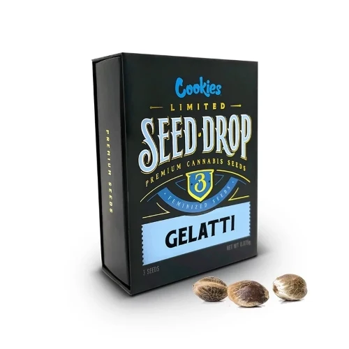 COOKIES SEED BANK - GELATTI FEM - 3 SEMI