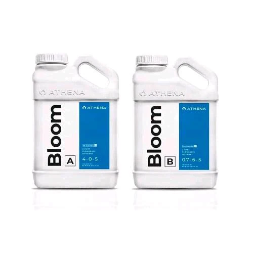 ATHENA - LINEA BLENDED - BLOOM A+B - 3.78 L (1 Galloni)