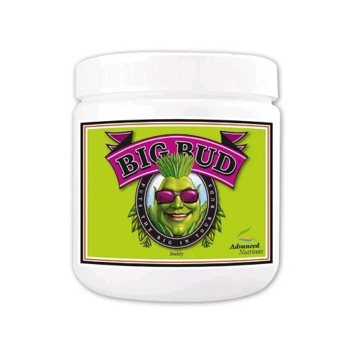 NUTRIENTI AVANZATI - BIG BUD POLVERE - 500G
