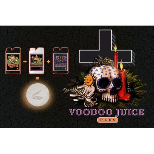 NUTRIENTI AVANZATI - VOODOO JUICE PLUS - 10 COMPRESSE