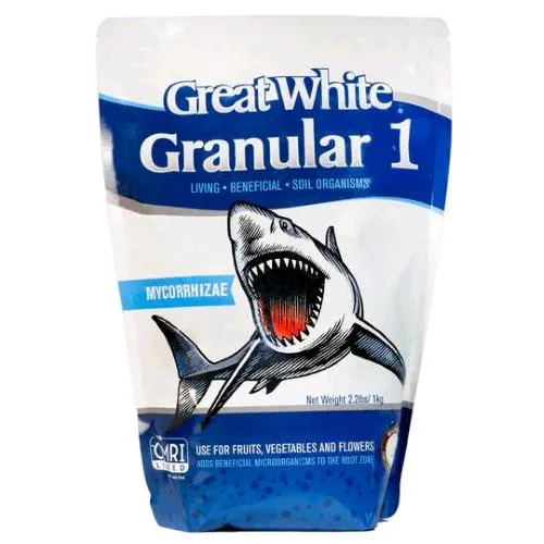 PIANTA SUCCESSO - GRANDE BIANCO GRANULARE 1 - 1KG