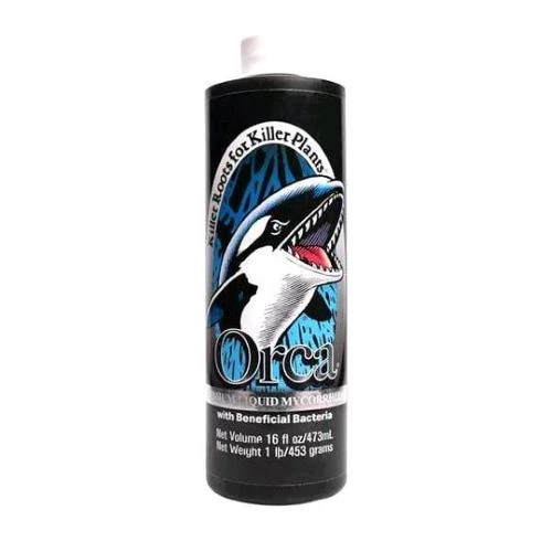 SUCCESSO IMPIANTO - ORCA - 473ML