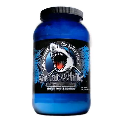 SUCCESSO IMPIANTO - GREAT WHITE - 2,26KG